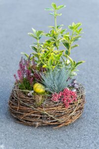 Herbstschale