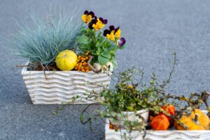 Herbstgeschenke