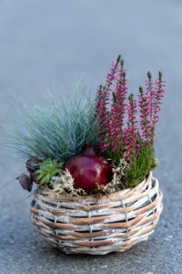 Herbstzauber